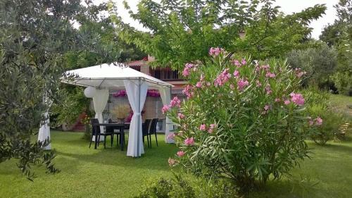 Porto Recanati Bed & Breakfast | B&B Lieti Colli