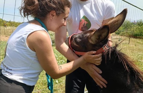 Piazzo House | B&B Naturin - Vegan Eco Farm