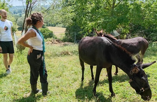 Piazzo House | B&B Naturin - Vegan Eco Farm