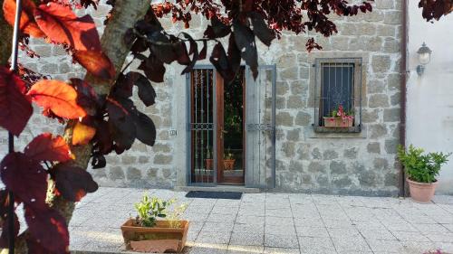Montefiascone Bed & Breakfast | B&B Paternocchio