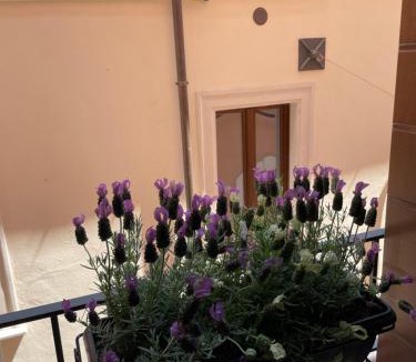 L'Aquila Bed & Breakfast | B & B Piazza Angioina