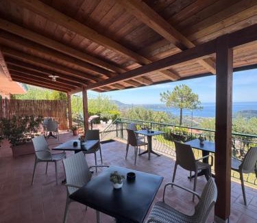 Praia a Mare Bed & Breakfast | B&B Saracinello