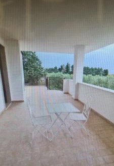 Cerignola Bed & Breakfast | B&B Uliveto