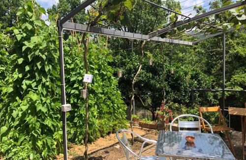 Camerota Bed & Breakfast | B&b VerdeMare Camerota
