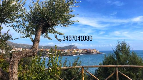 Marina Di Camerota Bed & Breakfast | B&B Villa Fiorita