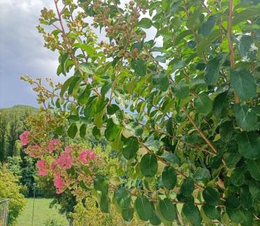Pietralunga Bed & Breakfast | B&B VILLA GINEVRA