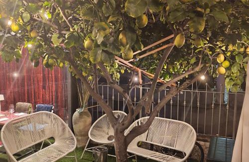 San Benedetto del Tronto Bed & Breakfast | B&B Villa Lilla spiaggia inclusa e bici gratuite a San Benedetto del Tronto Camere con terrazzo e Colazione inclusa