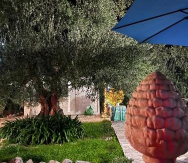 Trani Bed & Breakfast | B&B Villa Mediterranea with private parking