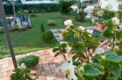 Scauri Bed & Breakfast | B&B villamariascauri