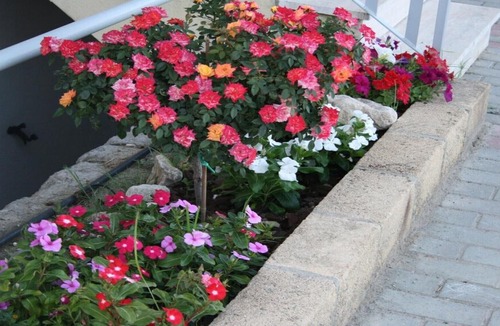 Borgia Apartment | Baia dei Canonici Apartments