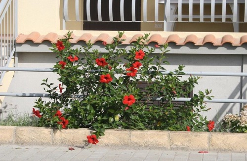 Borgia Apartment | Baia dei Canonici Apartments