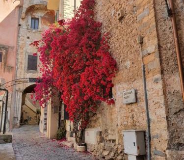 Terracina House | Beach Holiday (near Rome and Napoli)