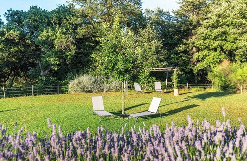 Trequanda Apartment | Beautiful apartment with WIFI, pool, A/C, TV, patio and pets allowed, close to Montepulciano
