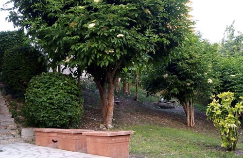 Porto Recanati Villa | Beautiful apartment in villa for 4 people with A/C, WIFI, TV and balcony