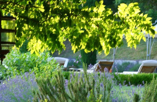 Monte Santa Maria Tiberina Other | Beautiful private villa and large pool with panoramic hilltop views