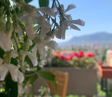 Terni Bed & Breakfast | Bed and Breakfast San Valentino