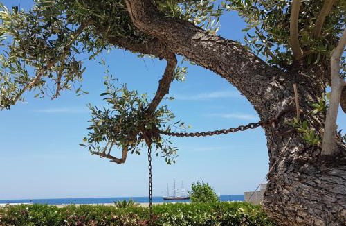 Giovinazzo Bed & Breakfast | Bed & Breakfast del Faro