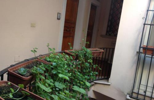 Foggia Bed & Breakfast | Bed & Breakfast Federico II