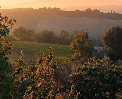 Monteodorisio Bed & Breakfast | Bel campà - B&B VEGANO IN CAMPAGNA