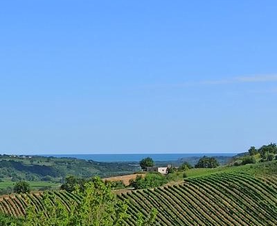 Monteodorisio Bed & Breakfast | Bel campà - B&B VEGANO IN CAMPAGNA