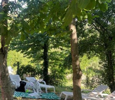 Poggio Torriana Apartment | Bellavista