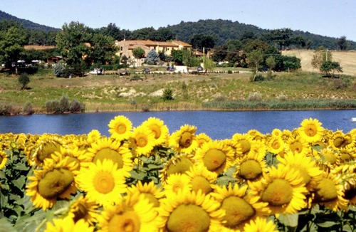 Casole d'Elsa Villa | Belvilla by OYO Selvatello Villino Trilo