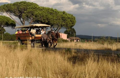 Grosseto House | Bio Agriturismo Le Giunchiglie