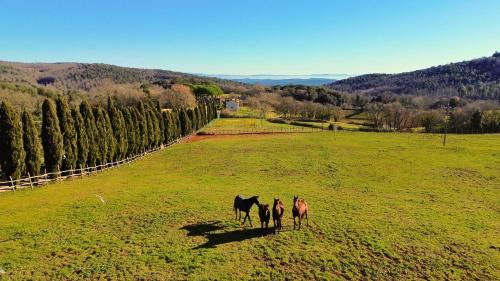 Simignano Resort | Borgo Cerrecchia