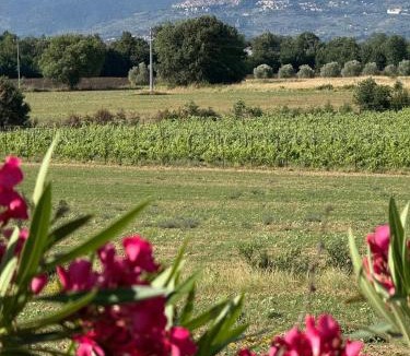 Ferretto House | Borgo Iris - Wine Farm near Cortona