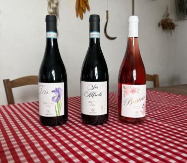 Ferretto House | Borgo Iris - Wine Farm near Cortona
