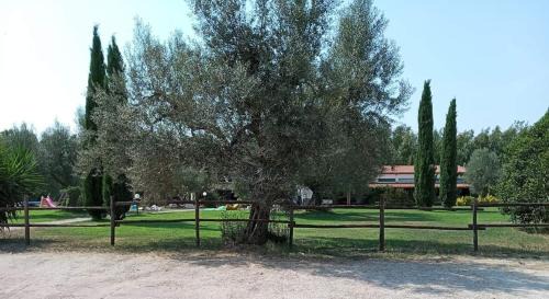 Montalto di Castro House | Borgo S.Maria Di Vulci