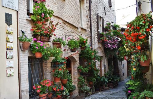 Spello Apartment | Borgo San Sisto Apartment