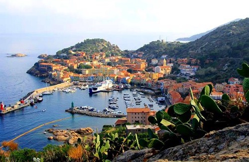 Isola del Giglio Apartment | Bougainvillea - Isola del Giglio holiday apartment at Campese sand beach