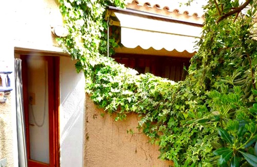 Isola del Giglio Apartment | Bougainvillea - Isola del Giglio holiday apartment at Campese sand beach