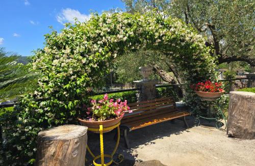 Celle di Bulgheria Bed & Breakfast | Bulgheriabeb