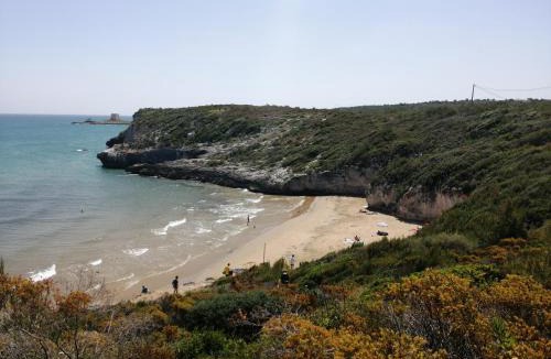 Vico del Gargano House | Calypso Casa Vacanze