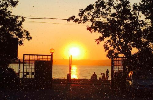 Montefiascone Other | CAMPING AMALASUNTA