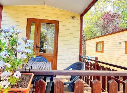 Montefiascone Other | CAMPING AMALASUNTA