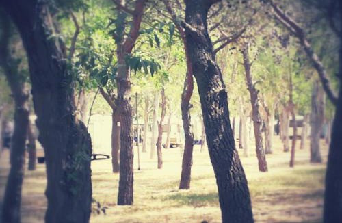 Manfredonia Other | Camping Tellina
