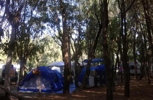 Sant'Eufemia Lamezia Other | Camping Ulisse Calabria