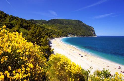 Sirolo Resort | Camping Village Internazionale