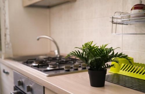 Vittoria Apartment | Camyhouse