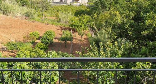 Scalea Apartment | Carla's House - Relax a Scalea tra mare e monti