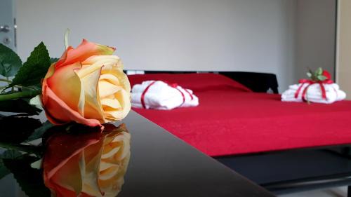 Scalea Apartment | Carla's House - Relax a Scalea tra mare e monti