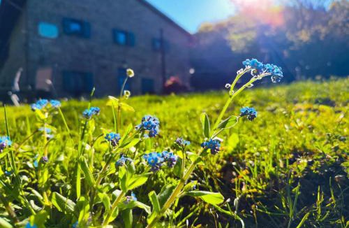 Subbiano Bed & Breakfast | casa al taverni