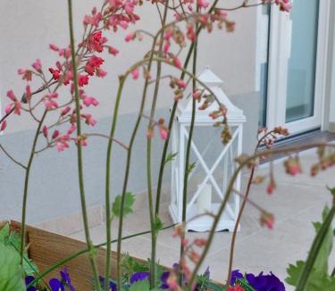 Monzambano House | CASA AUTUNNO