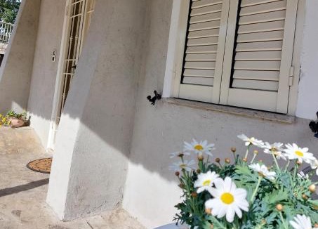 Fratta House | Casa civico22