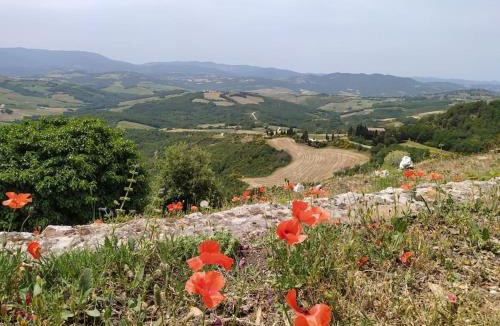Monteguidi Apartment | Casa Contadina in borgo medievale, Tuscany
