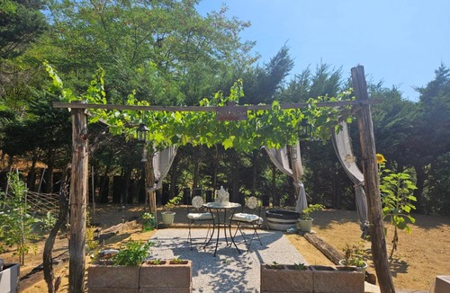 Castelnuovo Belbo Apartment | Casa Coppola