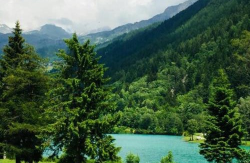Valtournenche Apartment | Casa del Lago